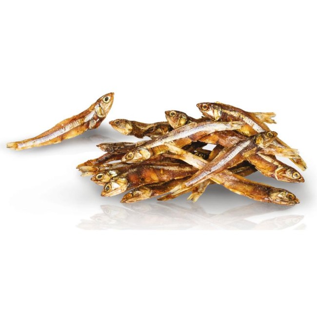 KIDCAT 100% liofilizuotos žuvytės katėms, 50 g