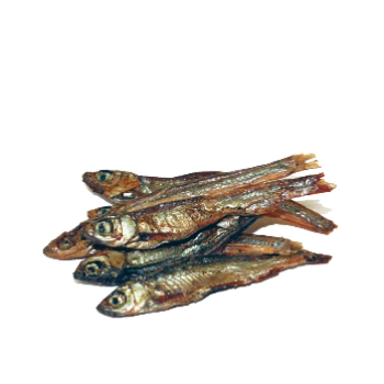 PRODAC TARTAFOOD FISH maistas vėžliams 1200ml 200g
