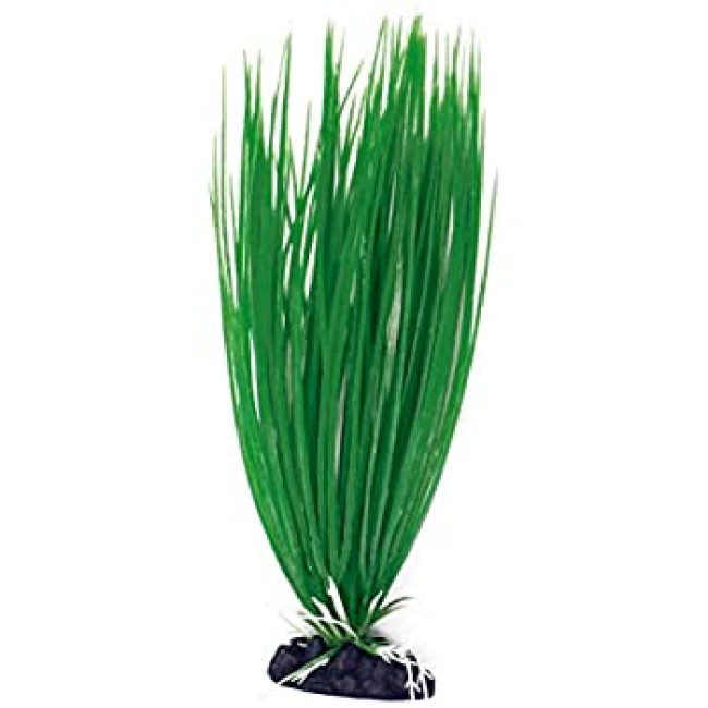 AMTRA ACORUS plastmasas augs vidējs 17cm