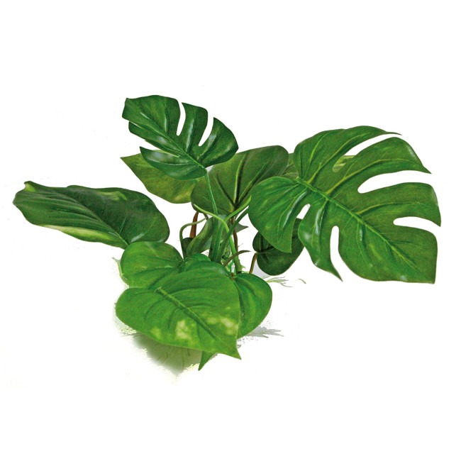 AMTRA ANUBIAS plastmasas augs 20cm
