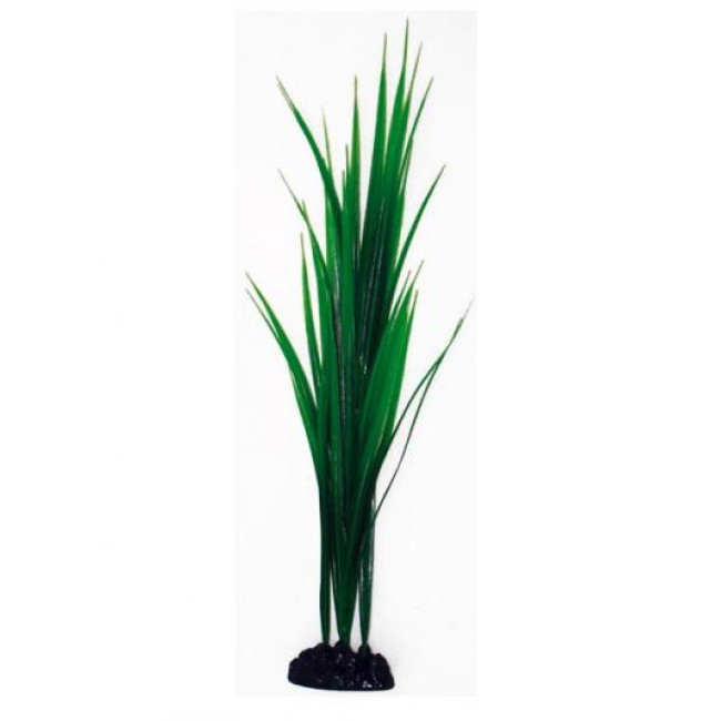 AMTRA BAMBOO augalas vidutinis 17cm