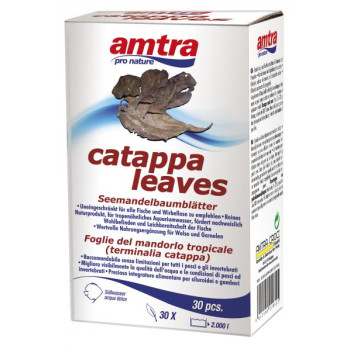AMTRA CATAPPA lapas 30gab