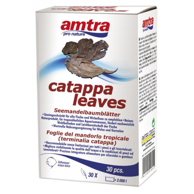 AMTRA CATAPPA lapas 30gab