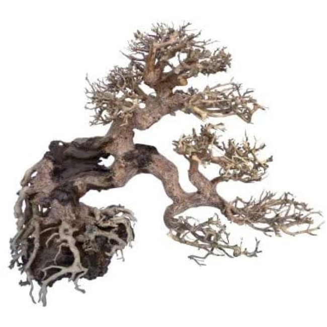 AMTRA dekorācija WOOD ORIENTAL dabīgā koksne 7 S