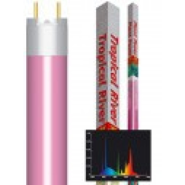 AMTRA Lempa PLANT POWER T8 25W (raudona) 750mm