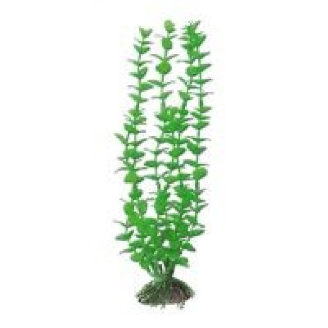AMTRA ROTALA plastmasas augs liels 23cm