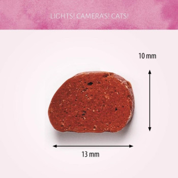 ANTOS Spiced Lamb skanėstai katėms su ėriena 50g (12)