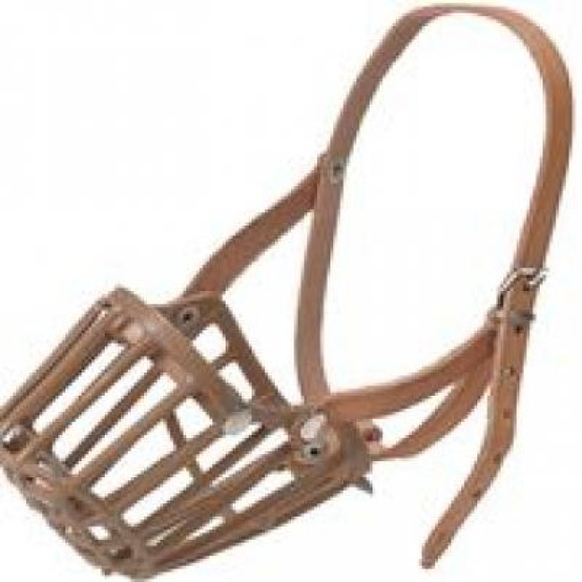 ANTSNUKIAI PLASTMASA M