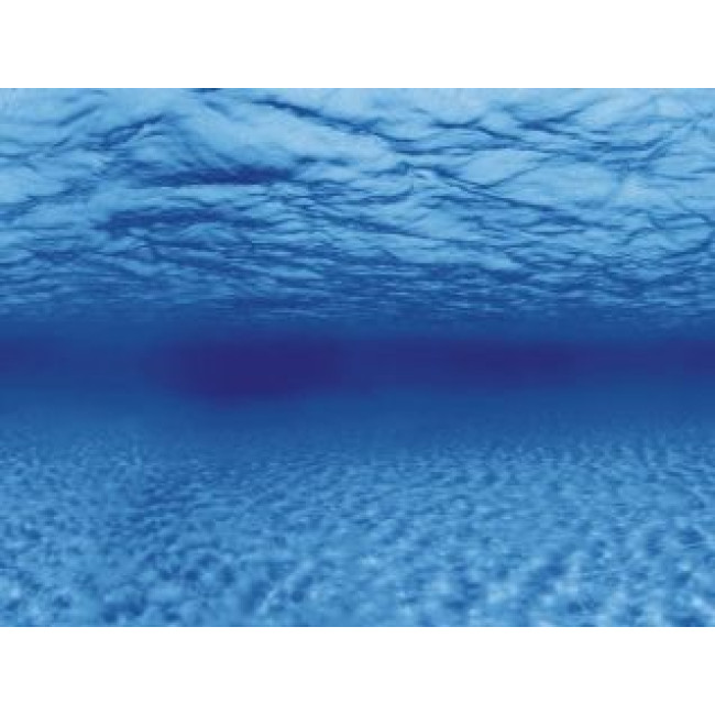 AQUA NOVA fonas šaknys/vanduo 100x50cm
