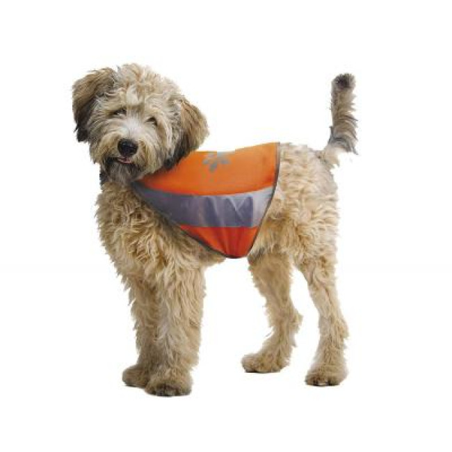 CROCI atstarojoša veste sunim XS