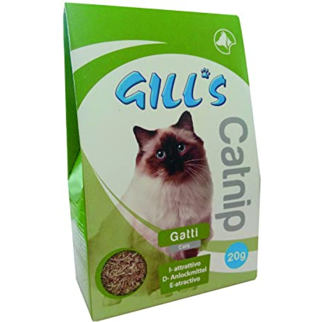 CROCI GILL'S CATNIP kaķu zāle 20g (6)