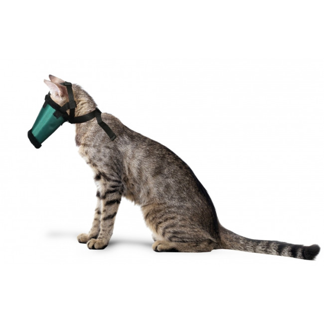 GF Antsnukis ar siksnām kaķiem, izmērs M