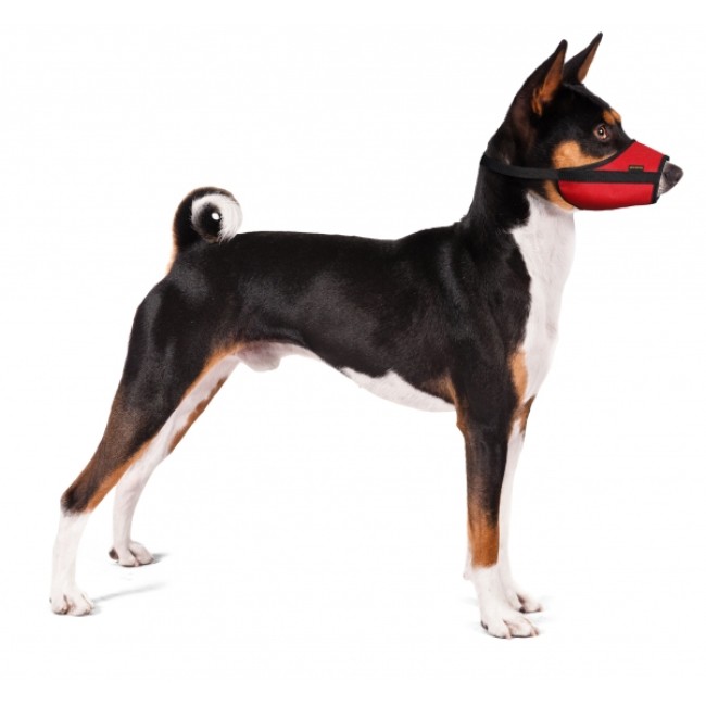 GF Antsnukis VET dydis XS (mėlynas) (Veterinarinis)