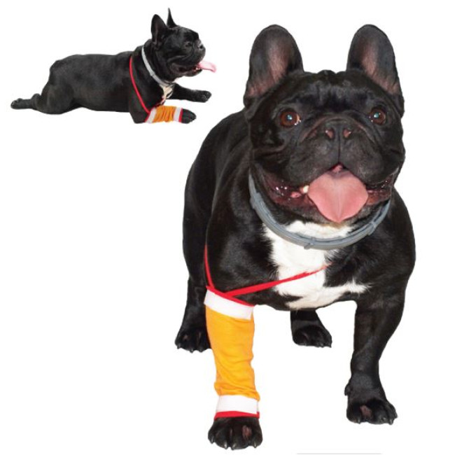 GF Dilbio ir blauzdos tvarstis 2(S)