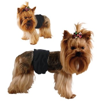 GF Kelnaitės šunims 'Pampas' XS 22-30cm