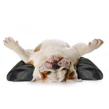 GF Stabilizators USG; R; 3kg 10/75 XXL