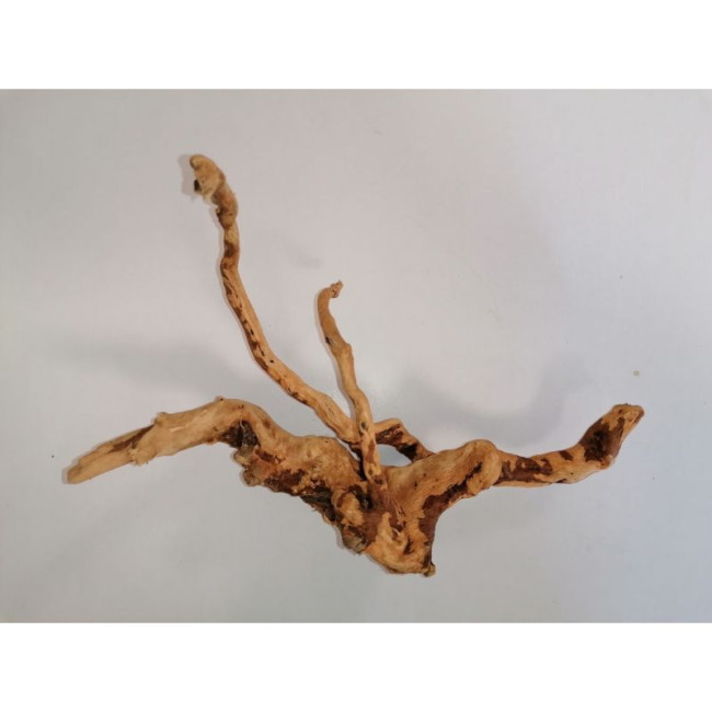 Mazās šaknis "Pirštai" XS