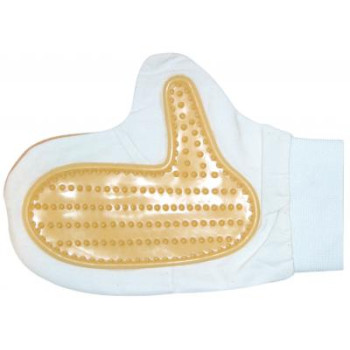 Pirmšķirne dzīvnieku šukāšanai