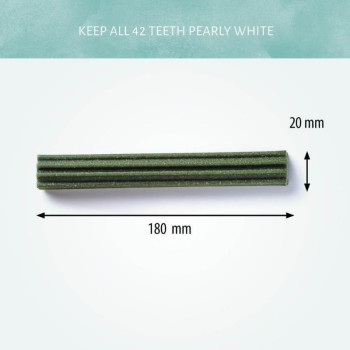 STARS 18cm - MIX dėžutė (50vnt)