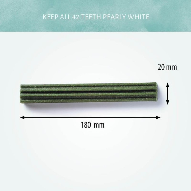 STARS 18cm - MIX dėžutė (50vnt)