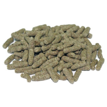 TARVEGETAL kārtiņas sausajiem rāpuļiem 250ml 60g